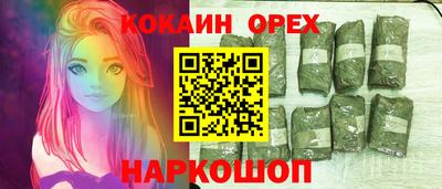 jwh Бердск