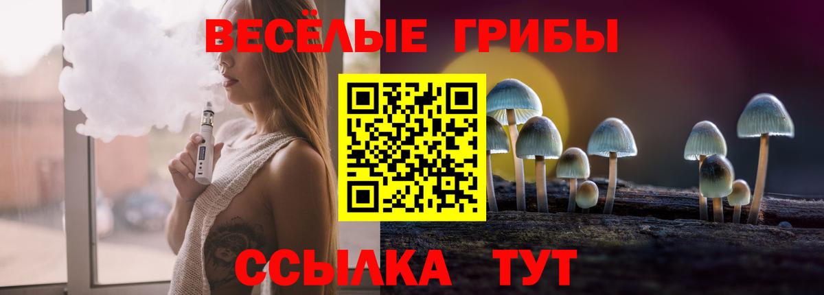 Галлюциногенные грибы Cubensis Москва